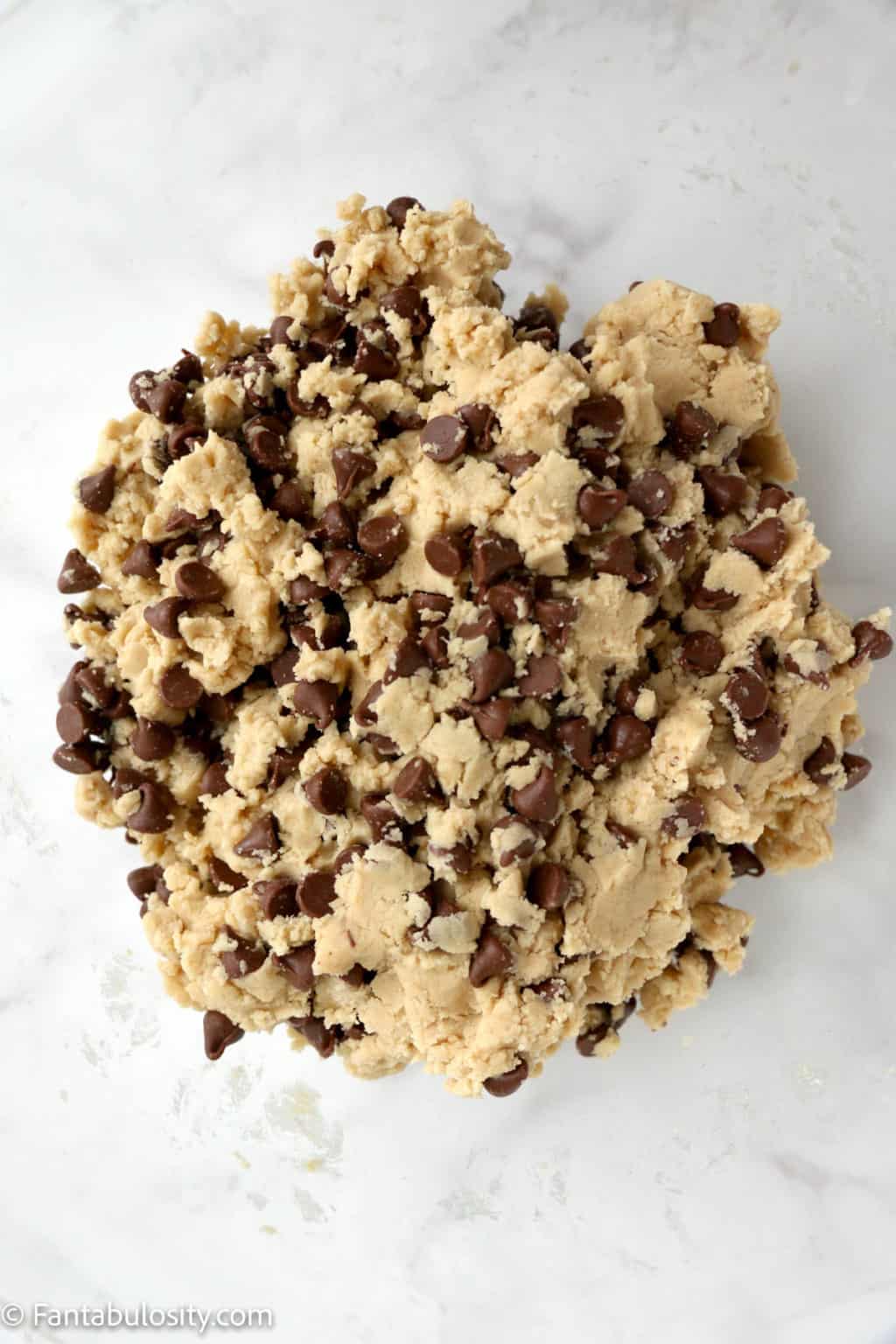 Big Fat Chewy Chocolate Chip Cookies - Fantabulosity