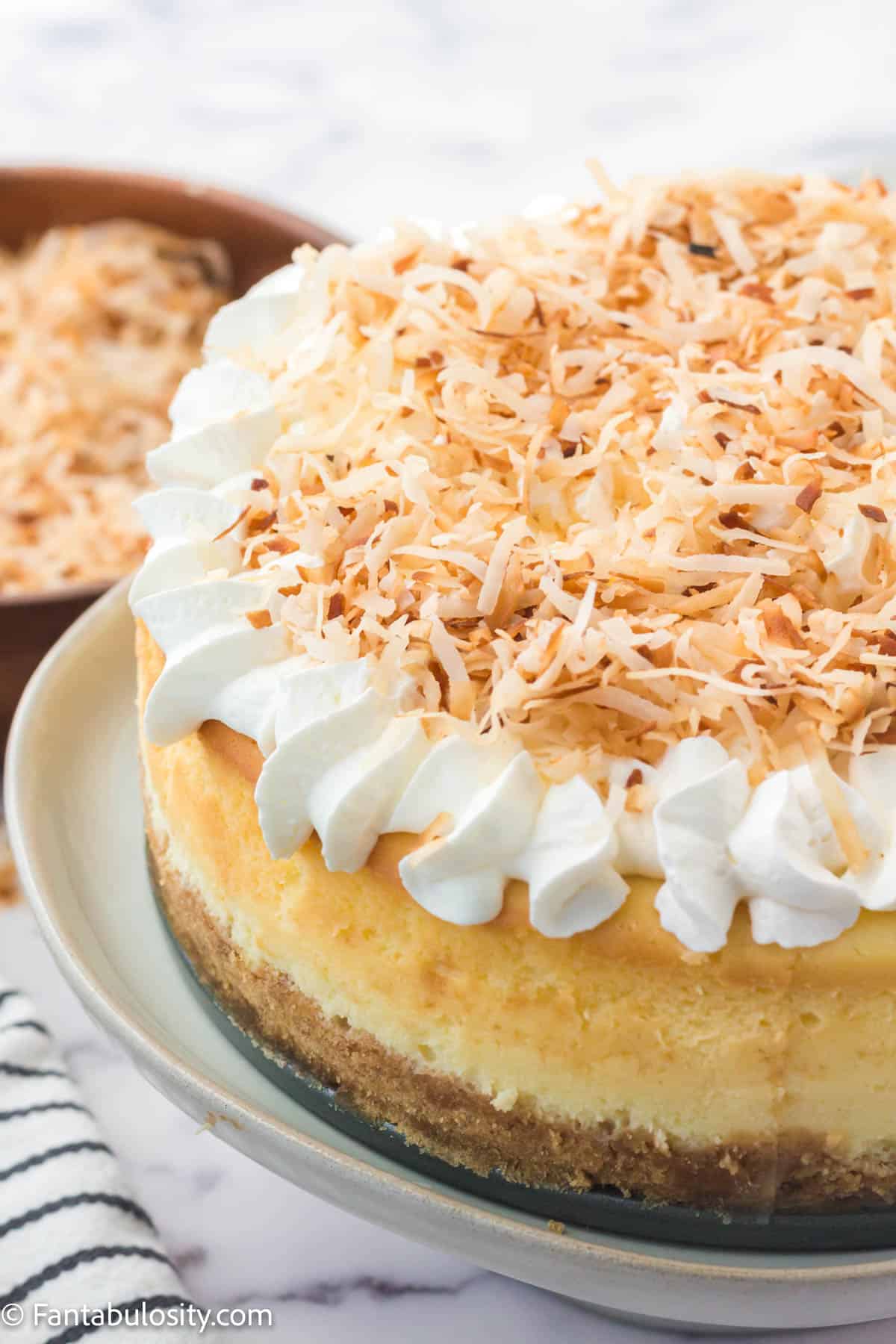 A close up of a coconut cheesecake. 
