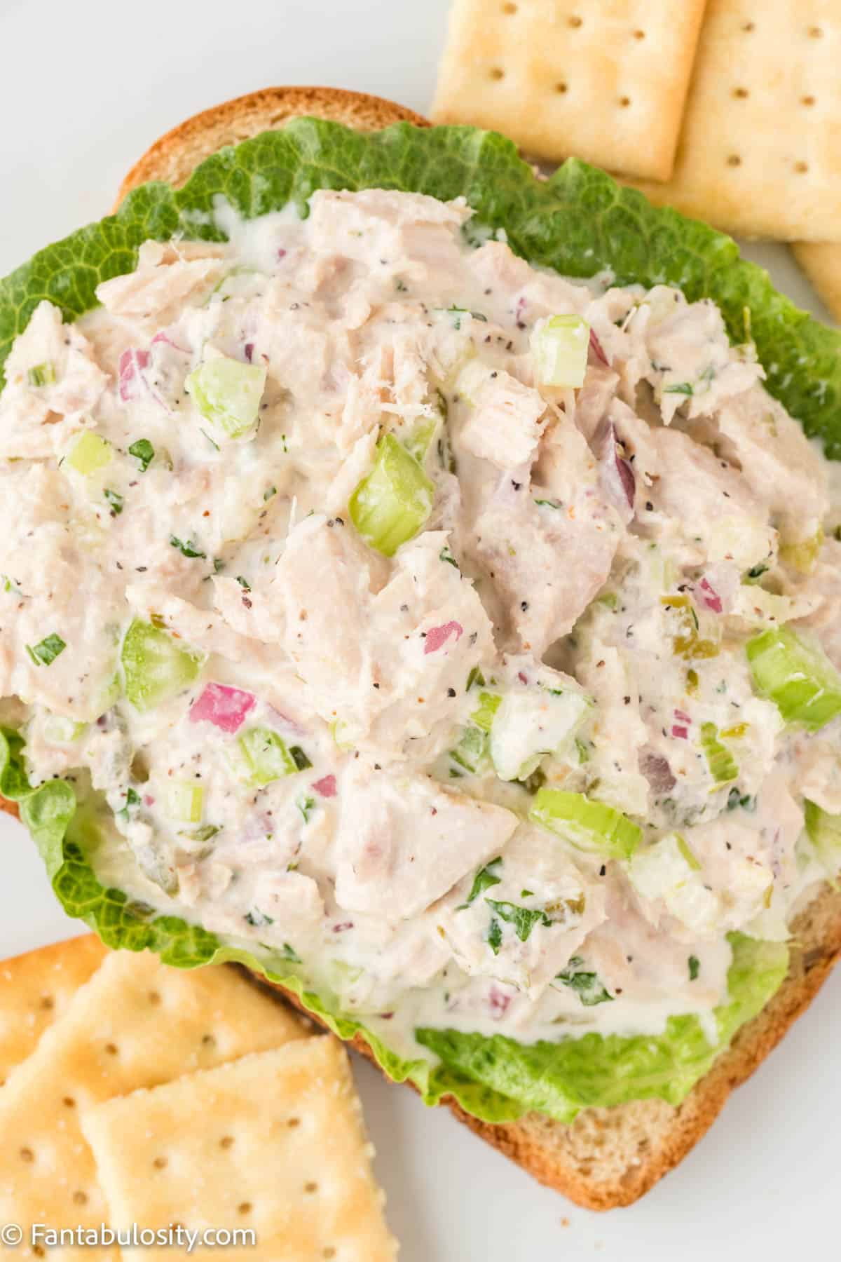 tuna salad on lettuce leaf, on top of bread slice