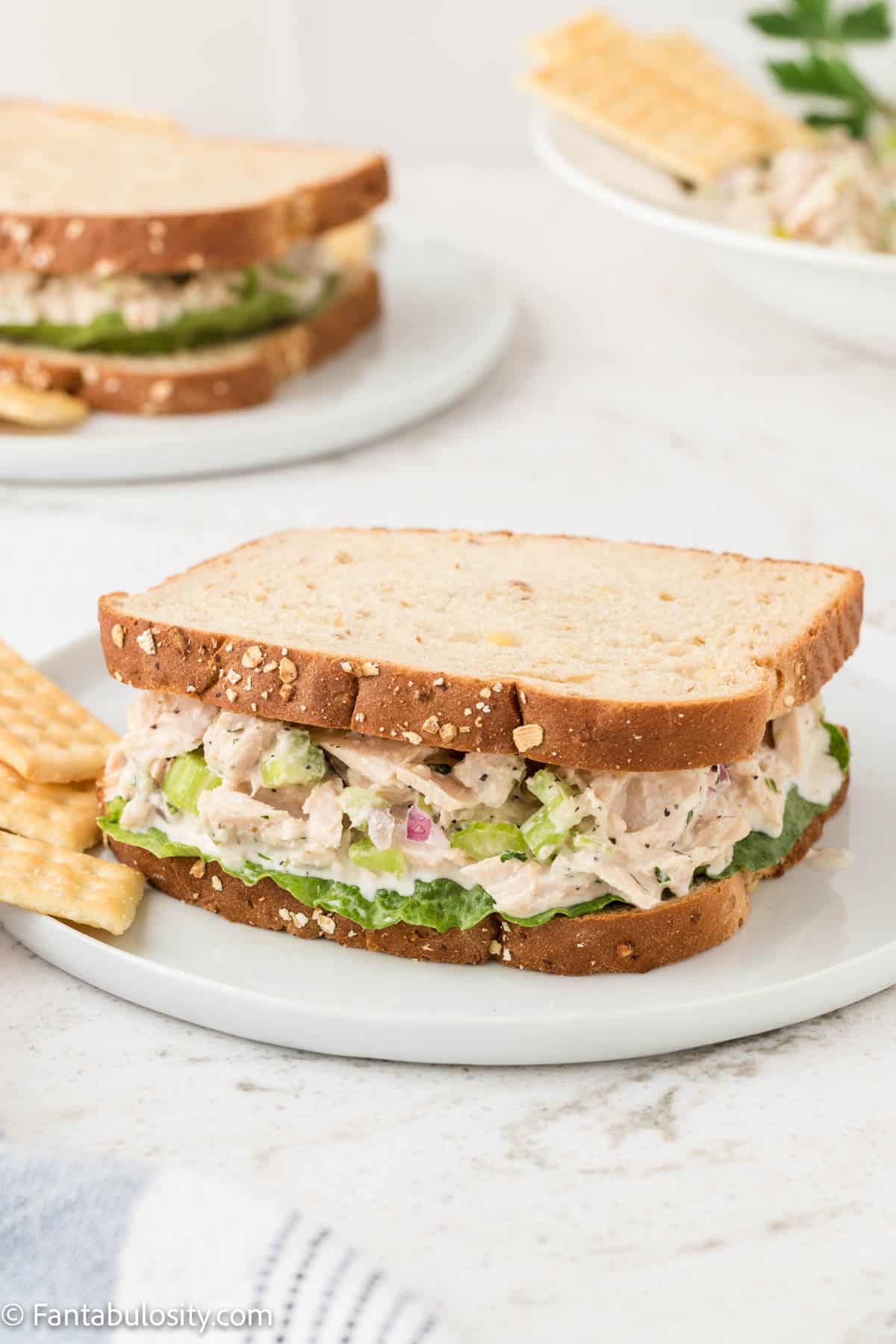Tuna salad sandwich with crackers on plate