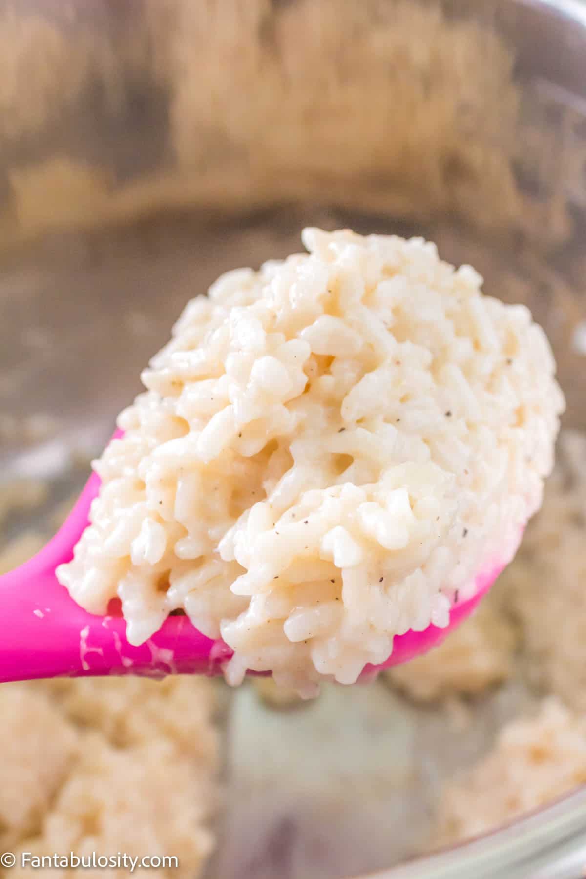 Spoonful of Risotto