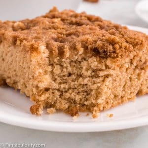 Close up photo of a slice of Cinnamon Coffee Cake showing texture of the fluffy cake and cinnamon crumb topping