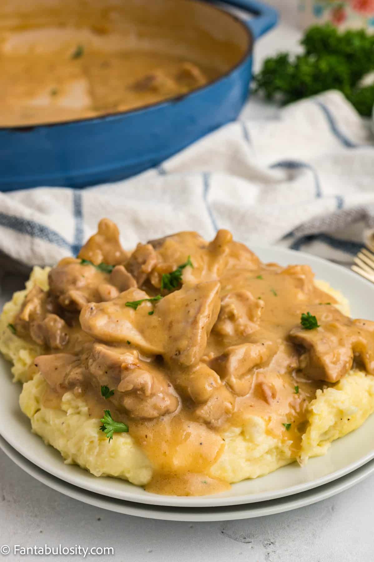 A white plate holds a serving of mashed potatoes smothered with a rich creamy chicken mixture