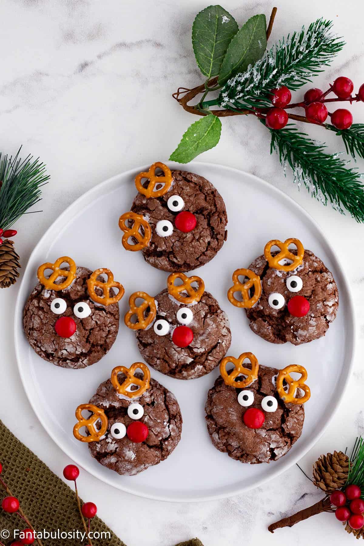 A round white plate holds 6 round chocolate cookies that have been decorated to look like reindeer faces
