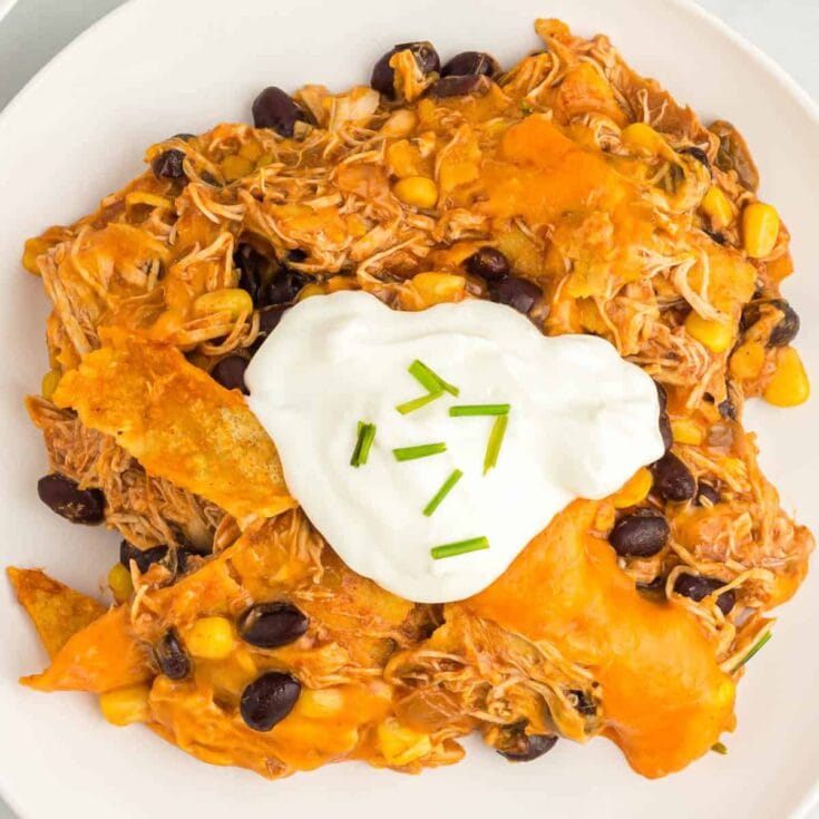 A plate holds a serving of crock pot chicken enchiladas that has been topped with sour cream and chives