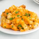 Close up photo of a white plate holding diced hashbrown potatoes covered in melted cheddar cheese