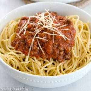 Close up of venison spaghetti in