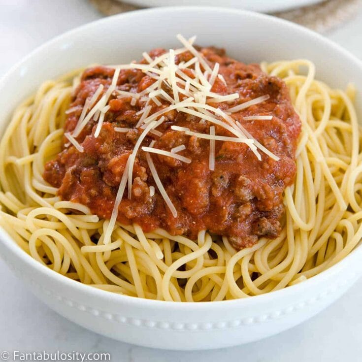 Close up of venison spaghetti in