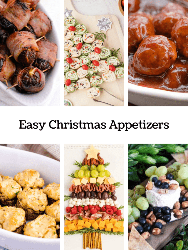 Easy Christmas Appetizers - Fantabulosity