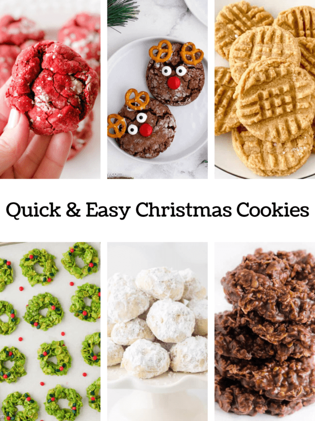 Quick & Easy Christmas Cookies - Fantabulosity