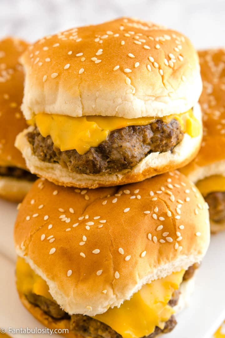 Venison Burgers Fantabulosity