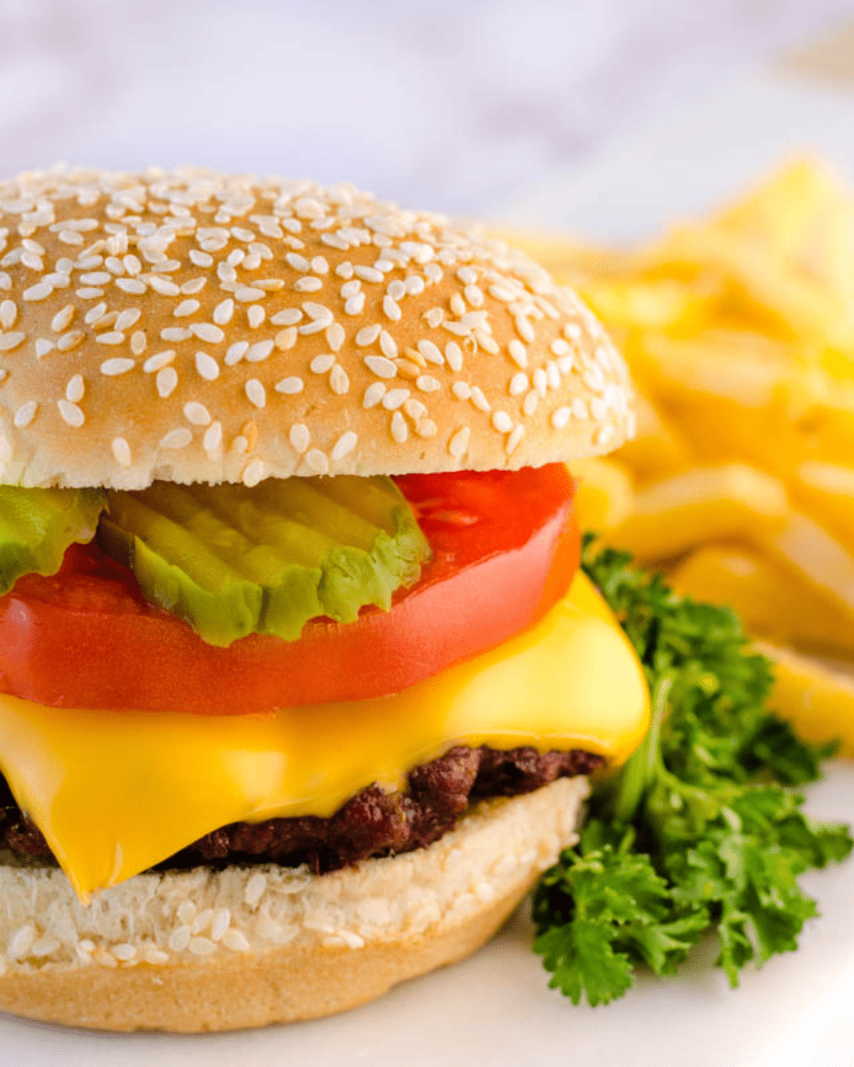 smoked ground beef burgers on a seeded bun with tomato and pickle. Served with fries