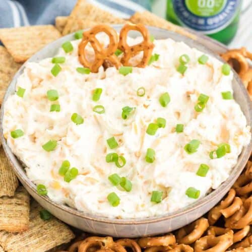 Pretzel Cheese Dip - Fantabulosity