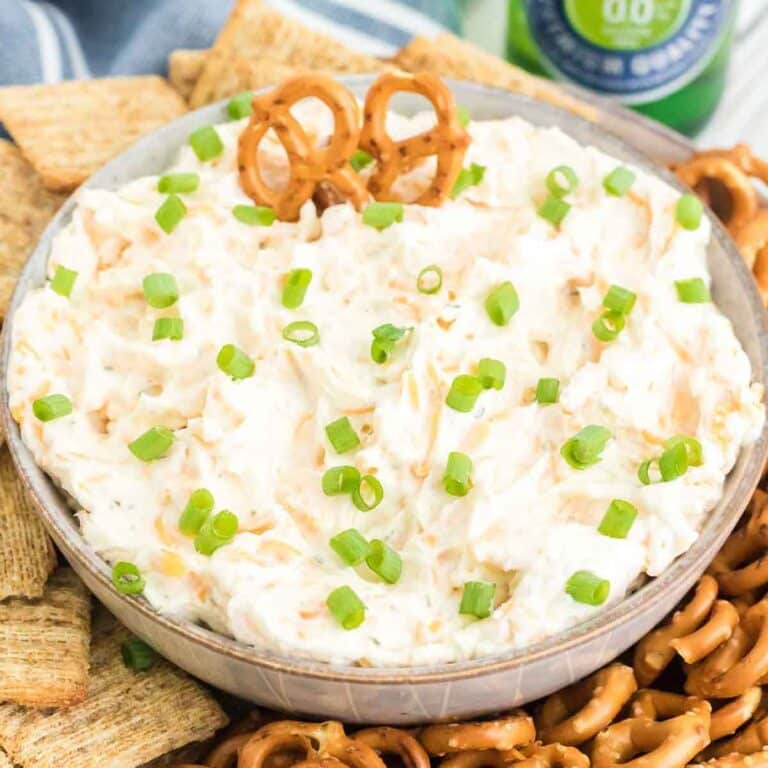 Pretzel Cheese Dip Fantabulosity