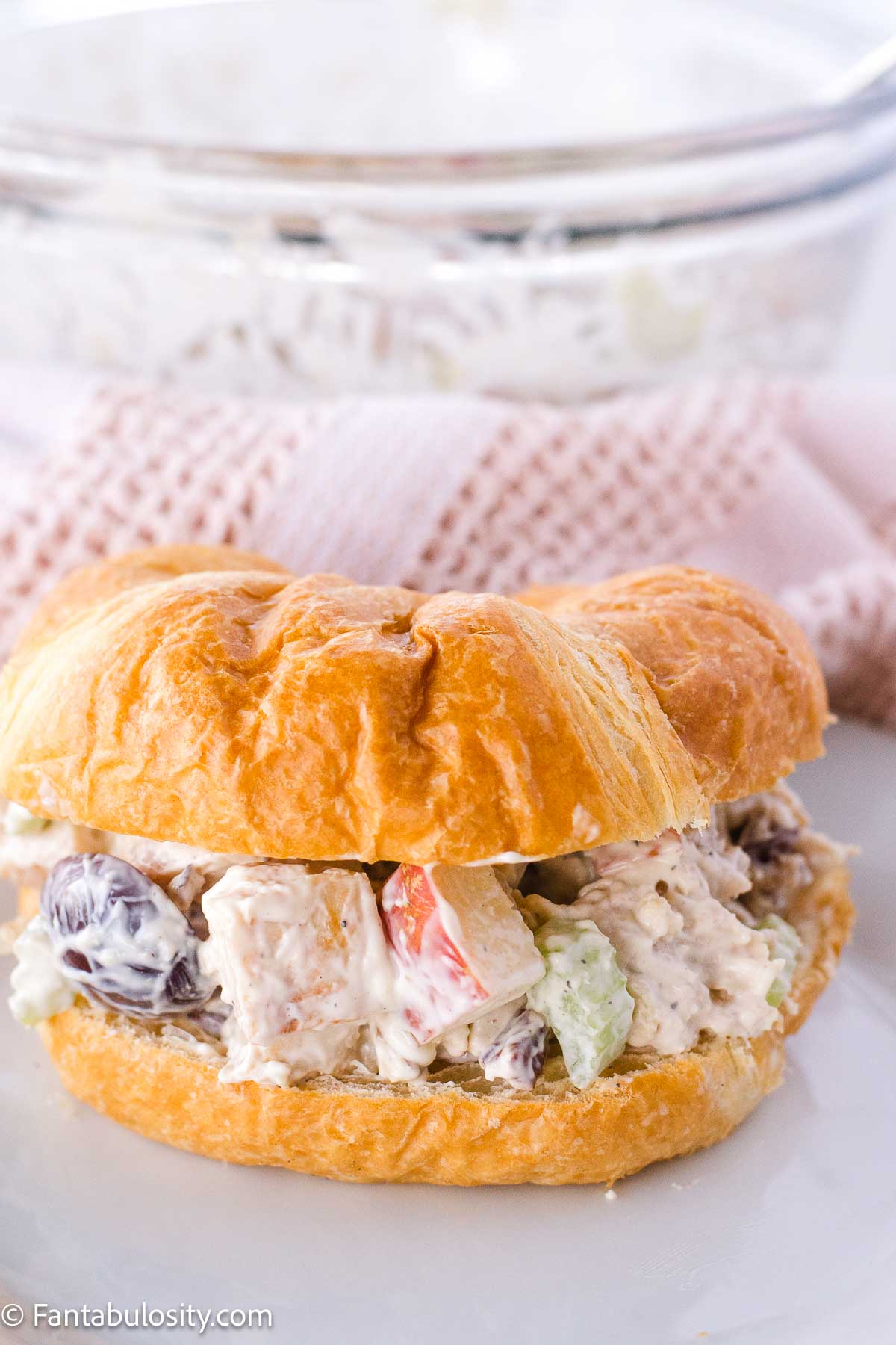 Chicken salad with grapes and apples on croissant. 