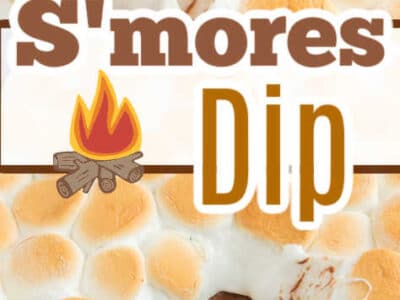 Close up of s'mores dip in cast iron pan, and graham cracker dipping in to dip.
