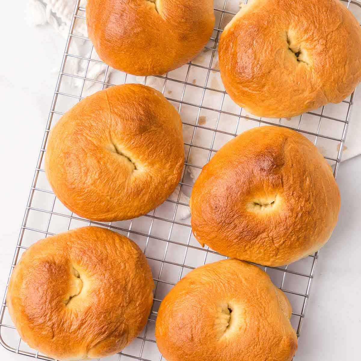 Easy Bagel Recipe - Fantabulosity