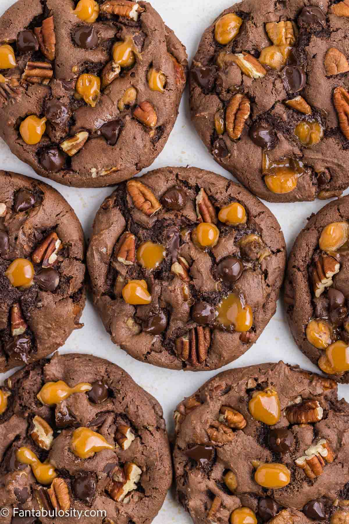 Turtle cookies on a white surface.