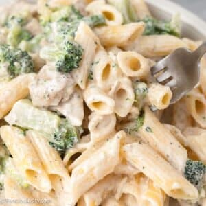 Close-up of chicken and broccoli pasta with creamy sauce.