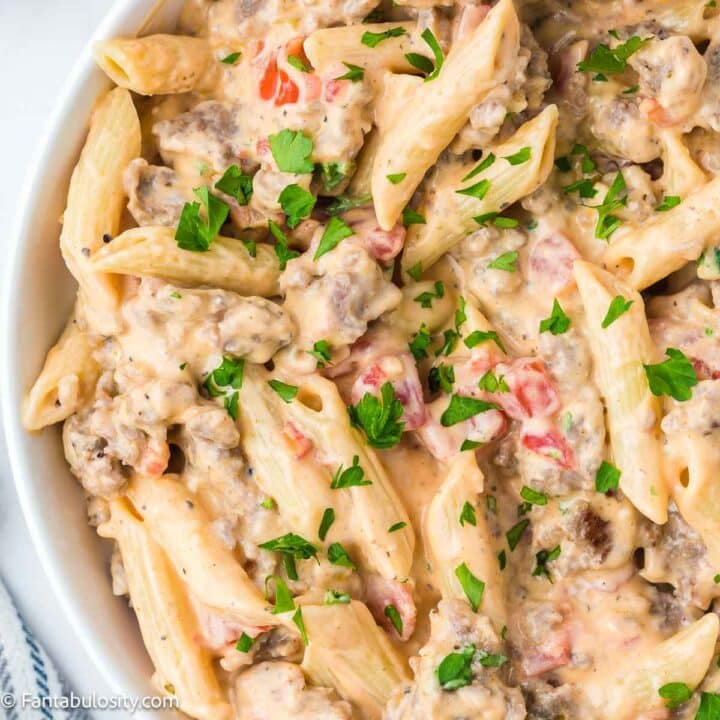 The BEST BBQ Chicken Pasta - SO Easy! Fantabulosity