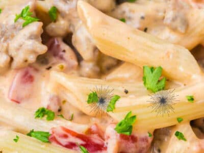 Rotel pasta (penne noodles) with tomatoes, chiles and cheese.