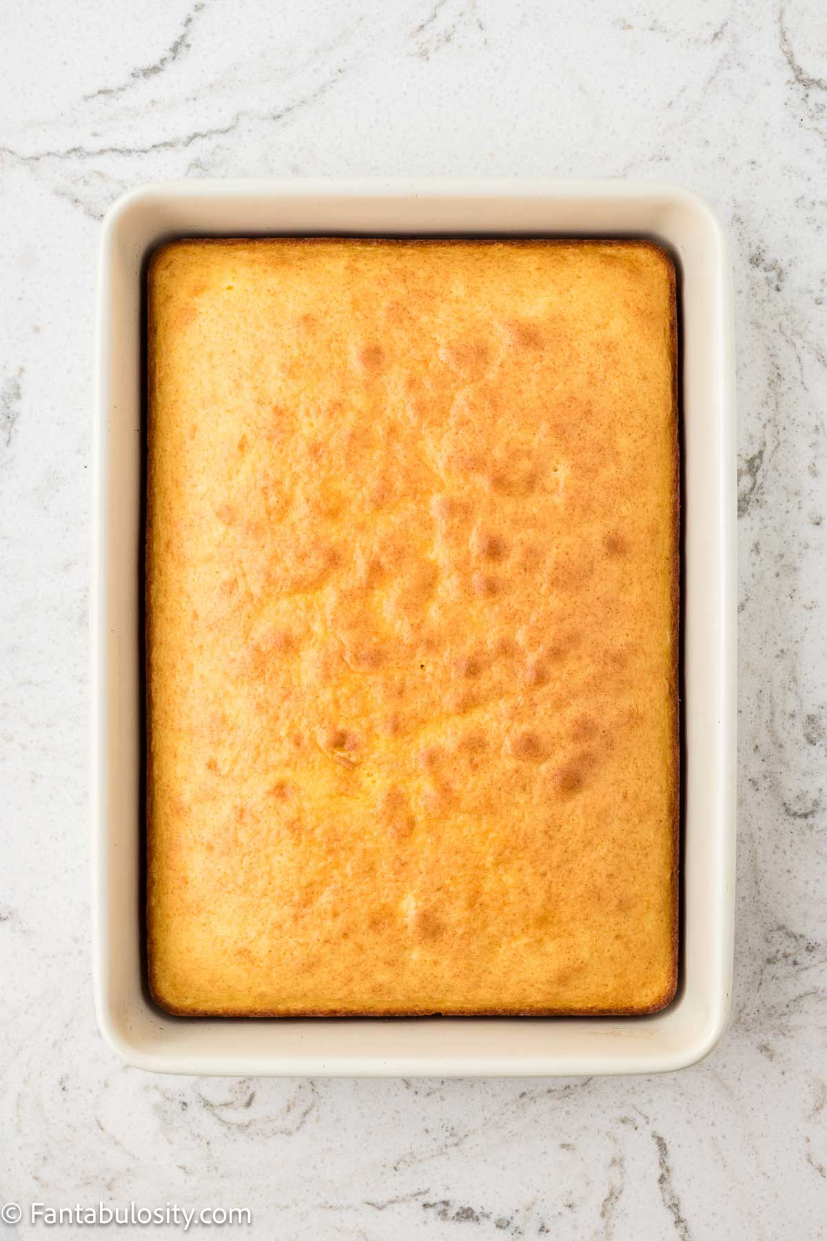 Pina colada cake baked in baking pan.