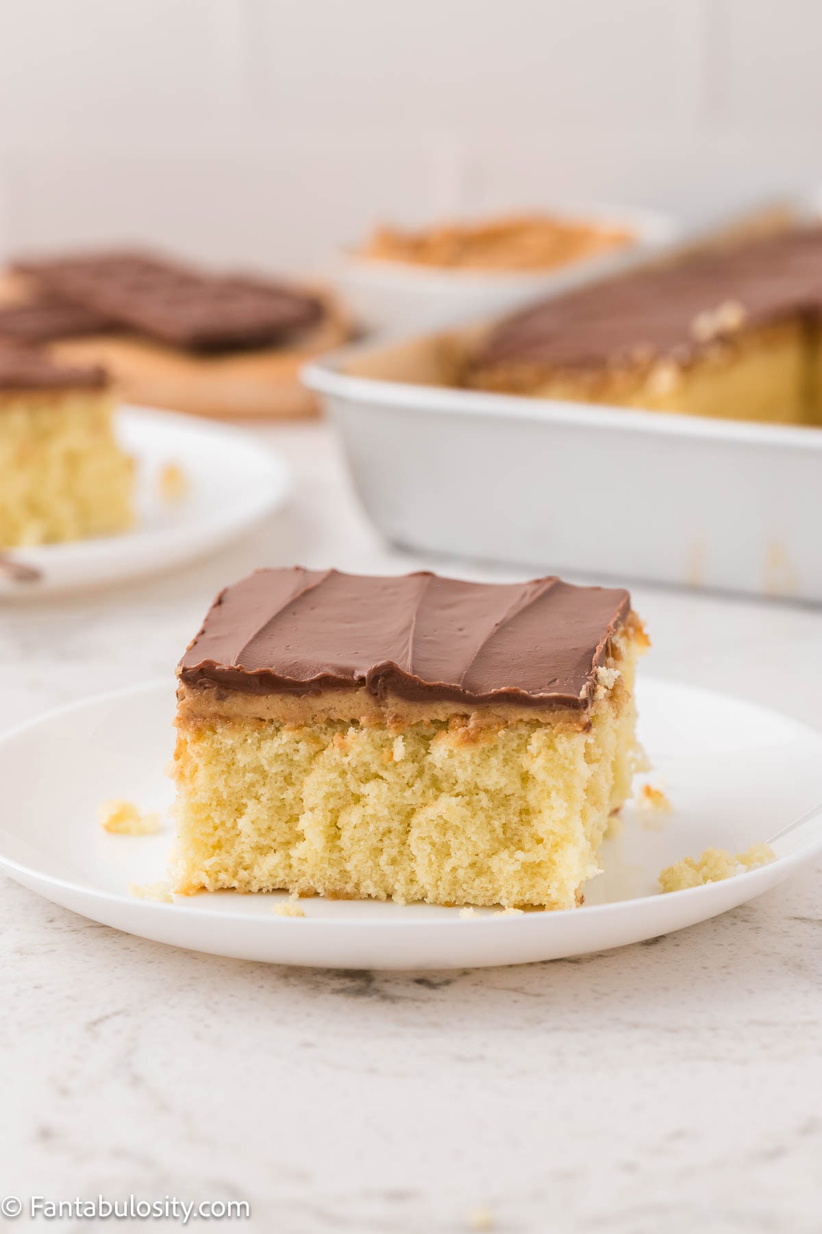 A slice of tandy cake on a round plate, sitting next to sheet cake.