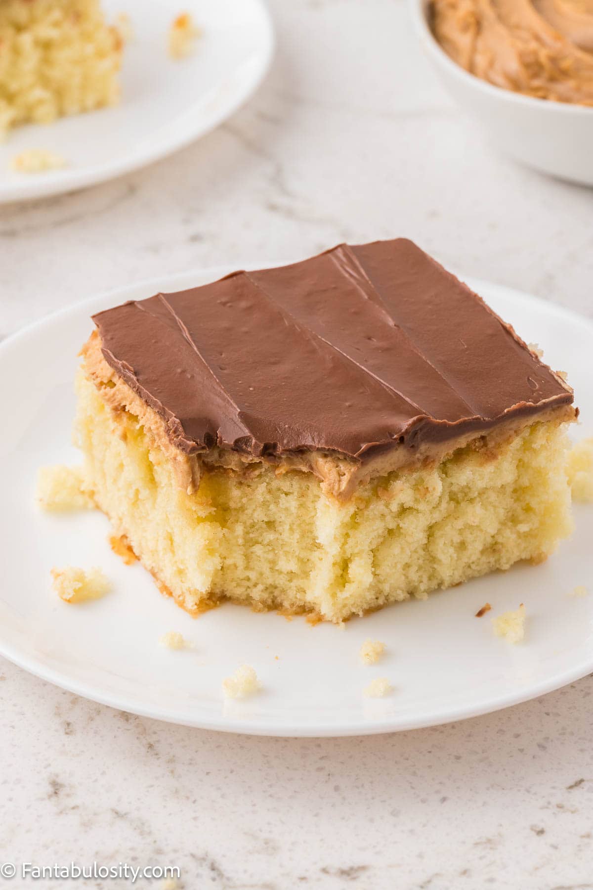 A slice of tandy cake on plate, with bite taken out.