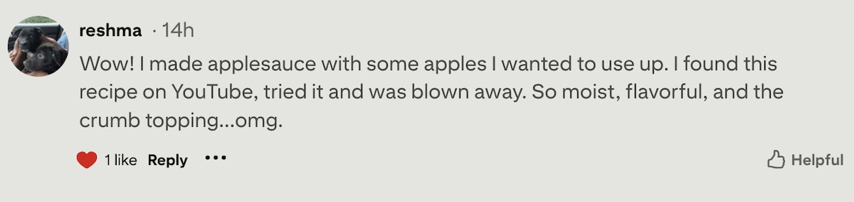 A pinterest comment screenshot reviewing applesauce crumb cake.