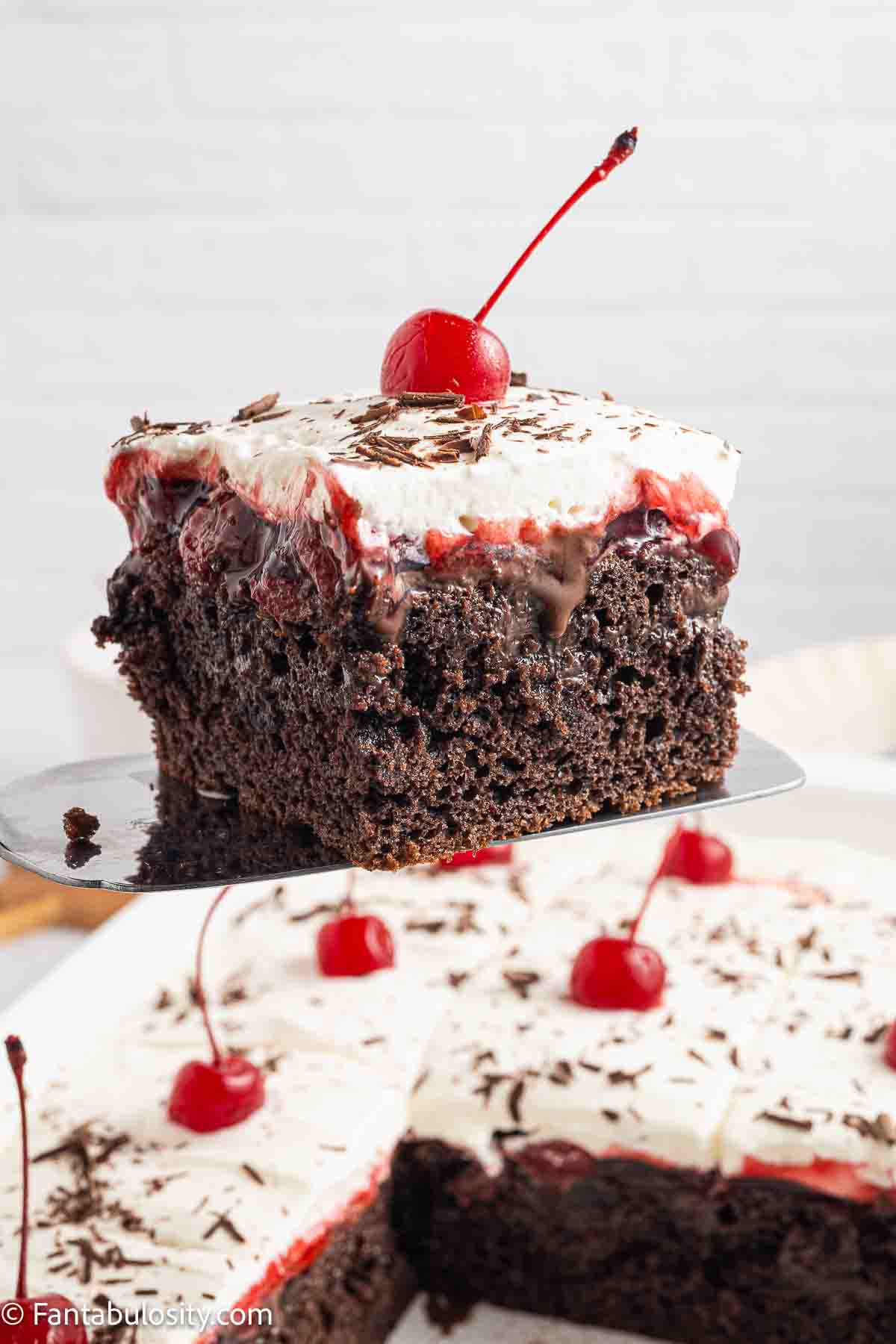 A slice of black forest poke cake on a spatula, resting above rest of cake.