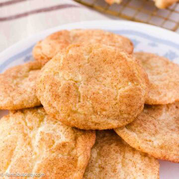 Stacked snickerdoodle cookies on a vintage plate.