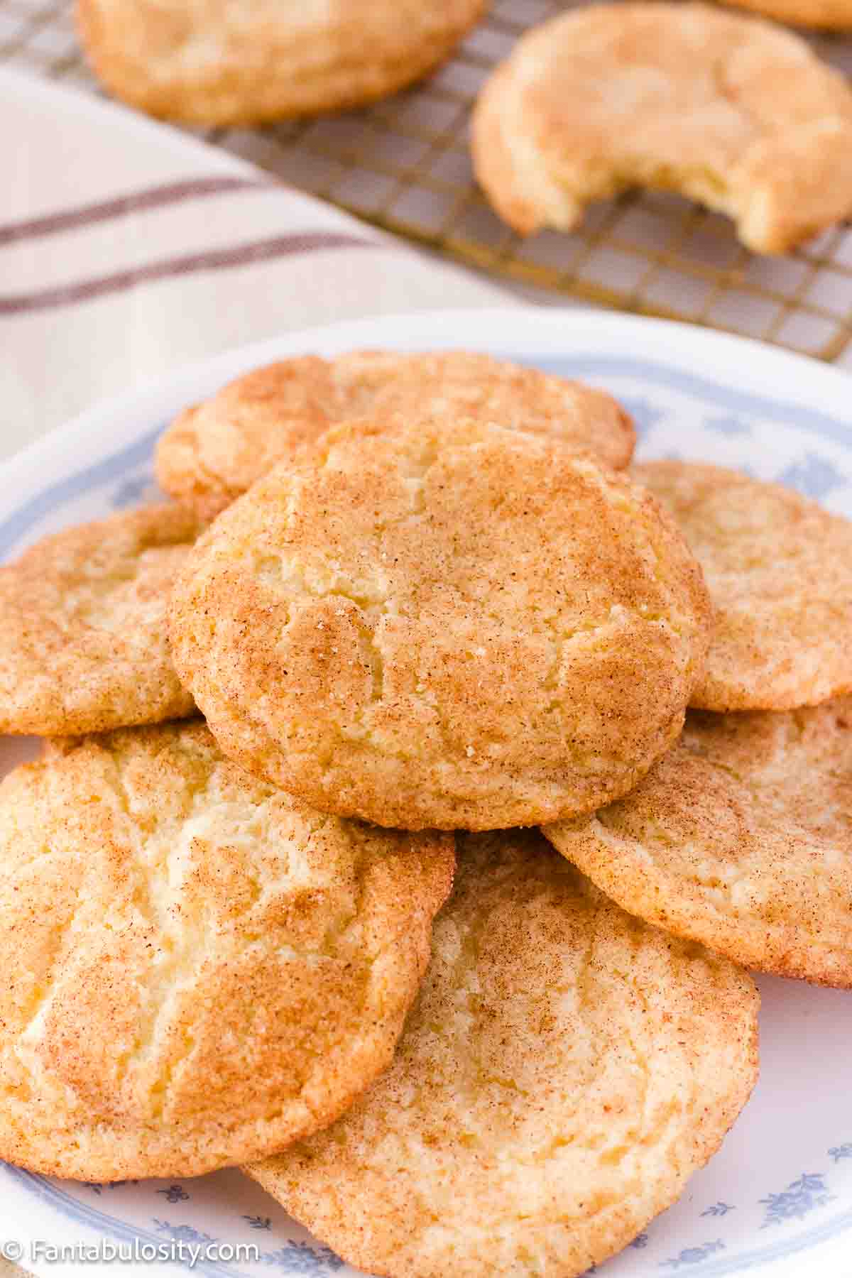 Snickerdoodle cookies on a vintage plate.