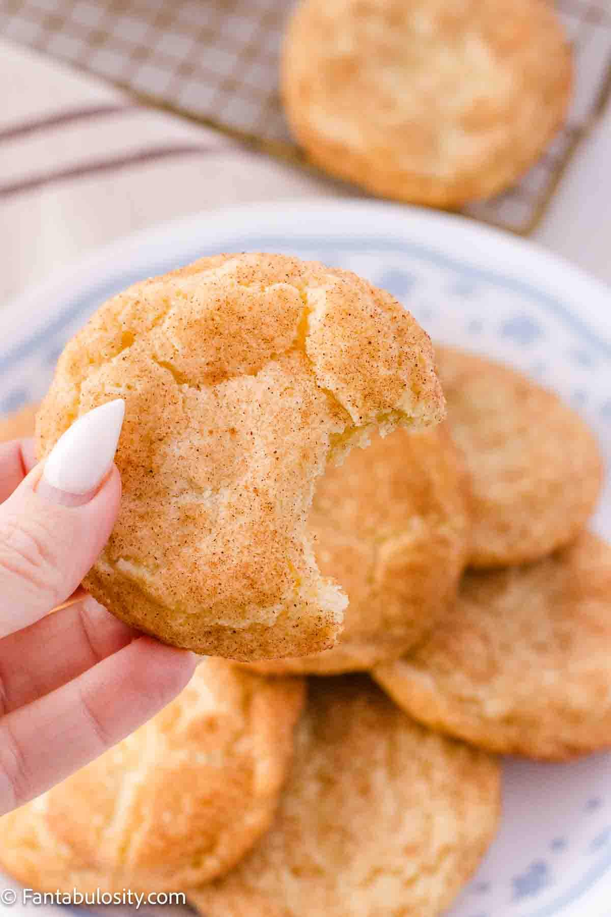 Hand holding snickerdoole cookie that has a bite taken out of it.
