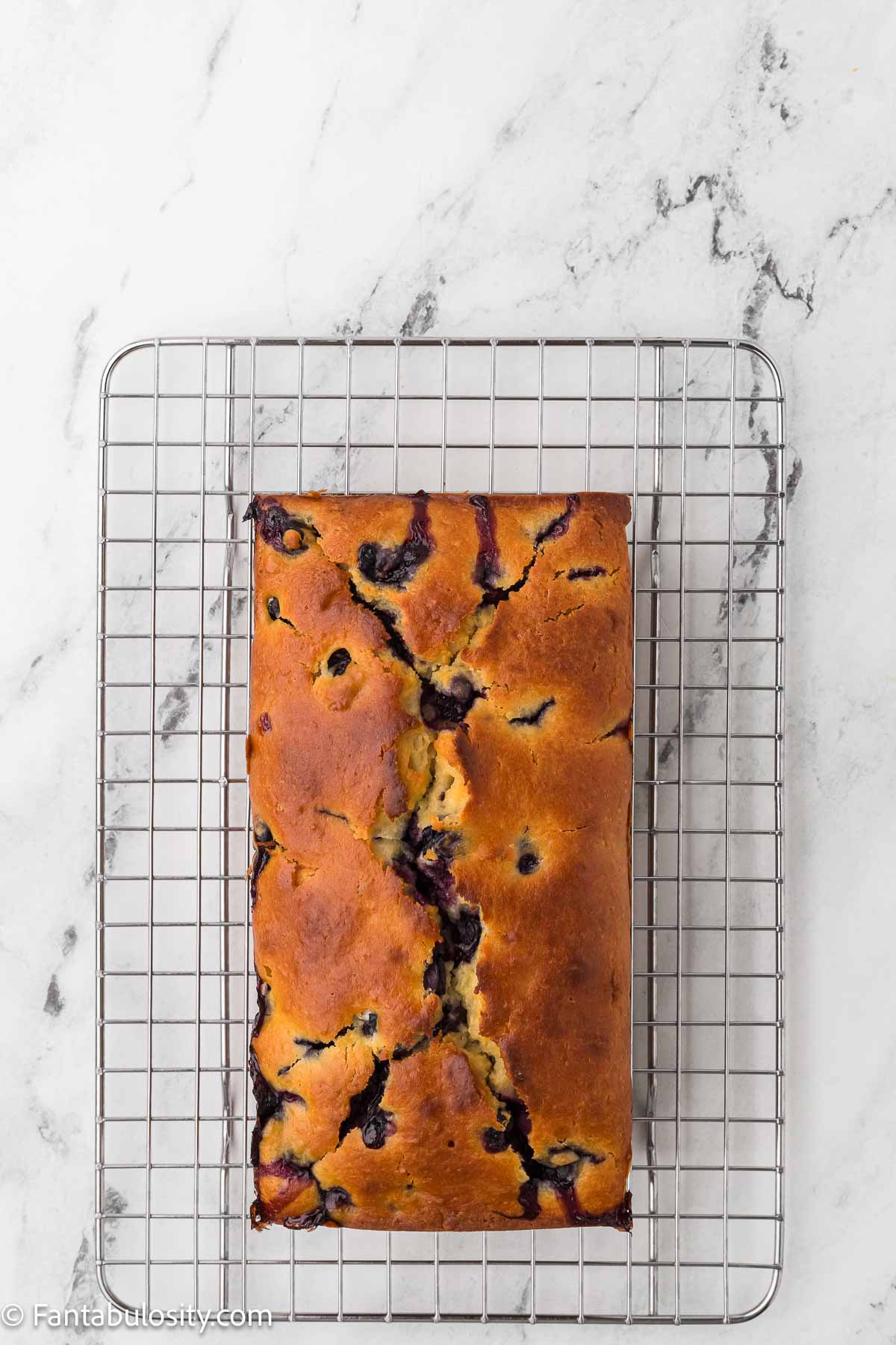 Baked lemon blueberry bread cooling on wire rack.