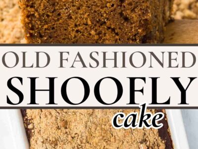 Old-Fashioned Shoofly Cake slice and showing whole cake in 9x13 pan.