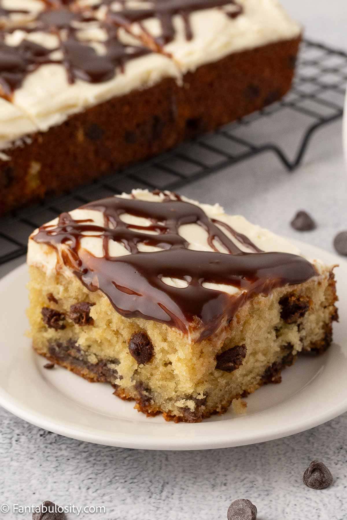 A slice of chocolate chip cake on a plate.