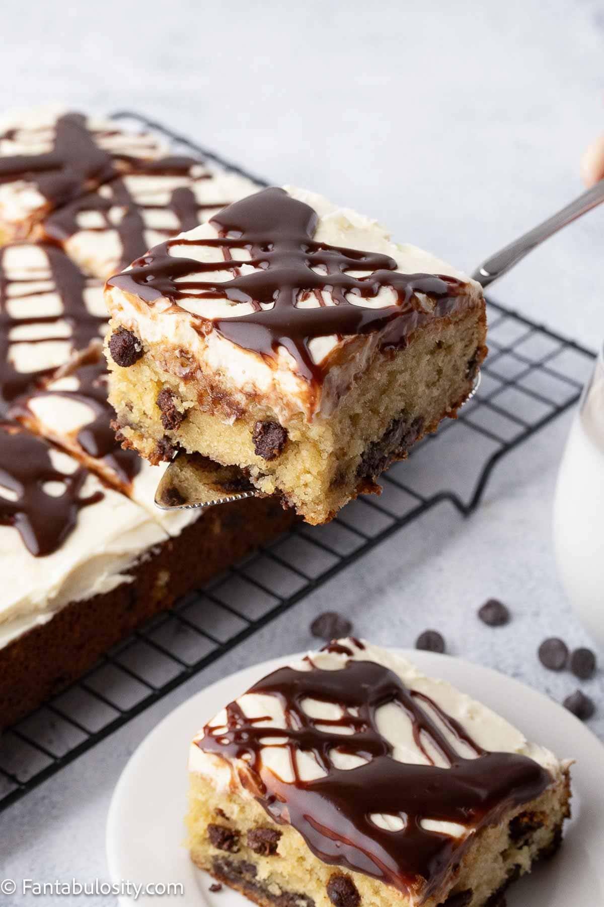A slice of chocolate chip cake on a spatula.