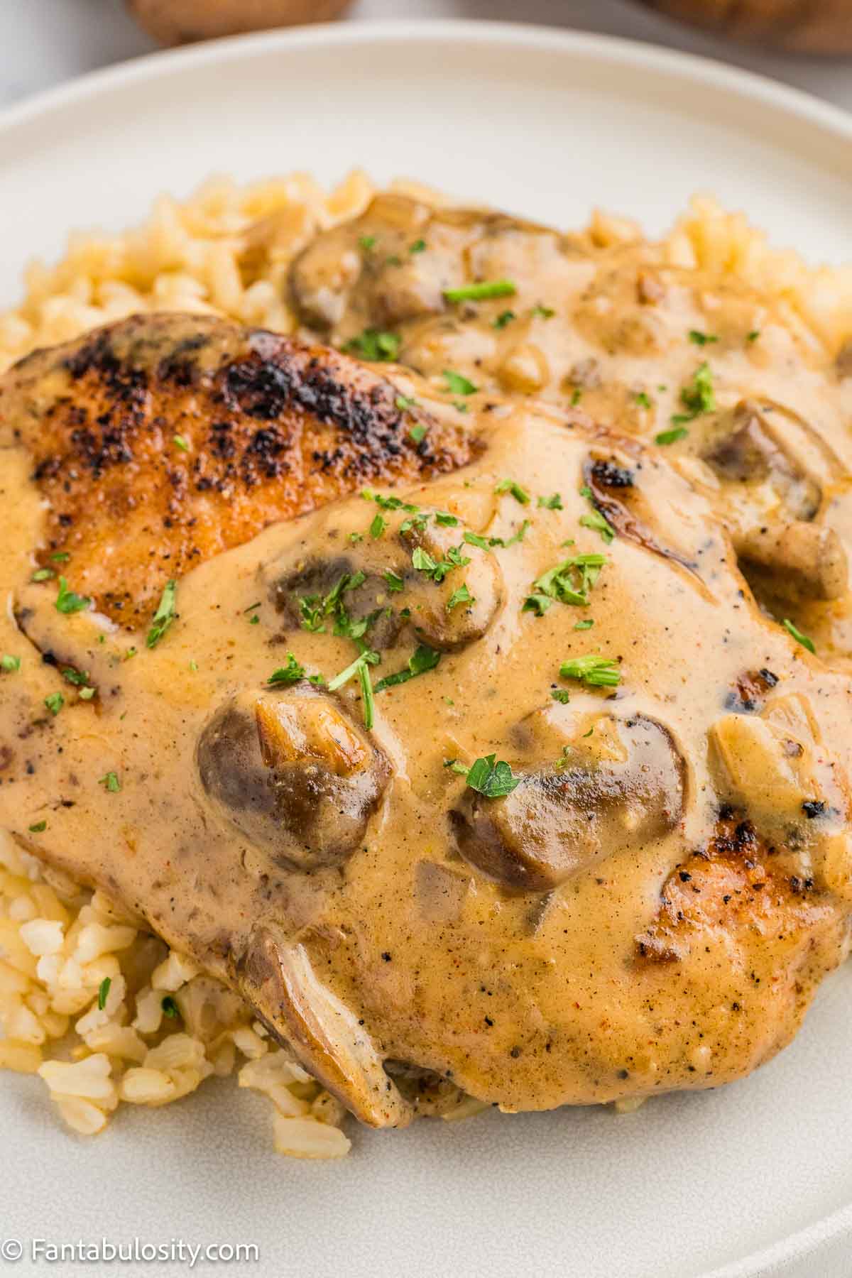 Smothered pork chop on rice, covered in gravy.