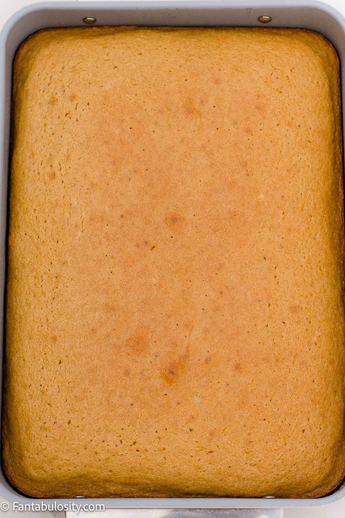 Baked peanut butter cake in a 9x13 baking pan.