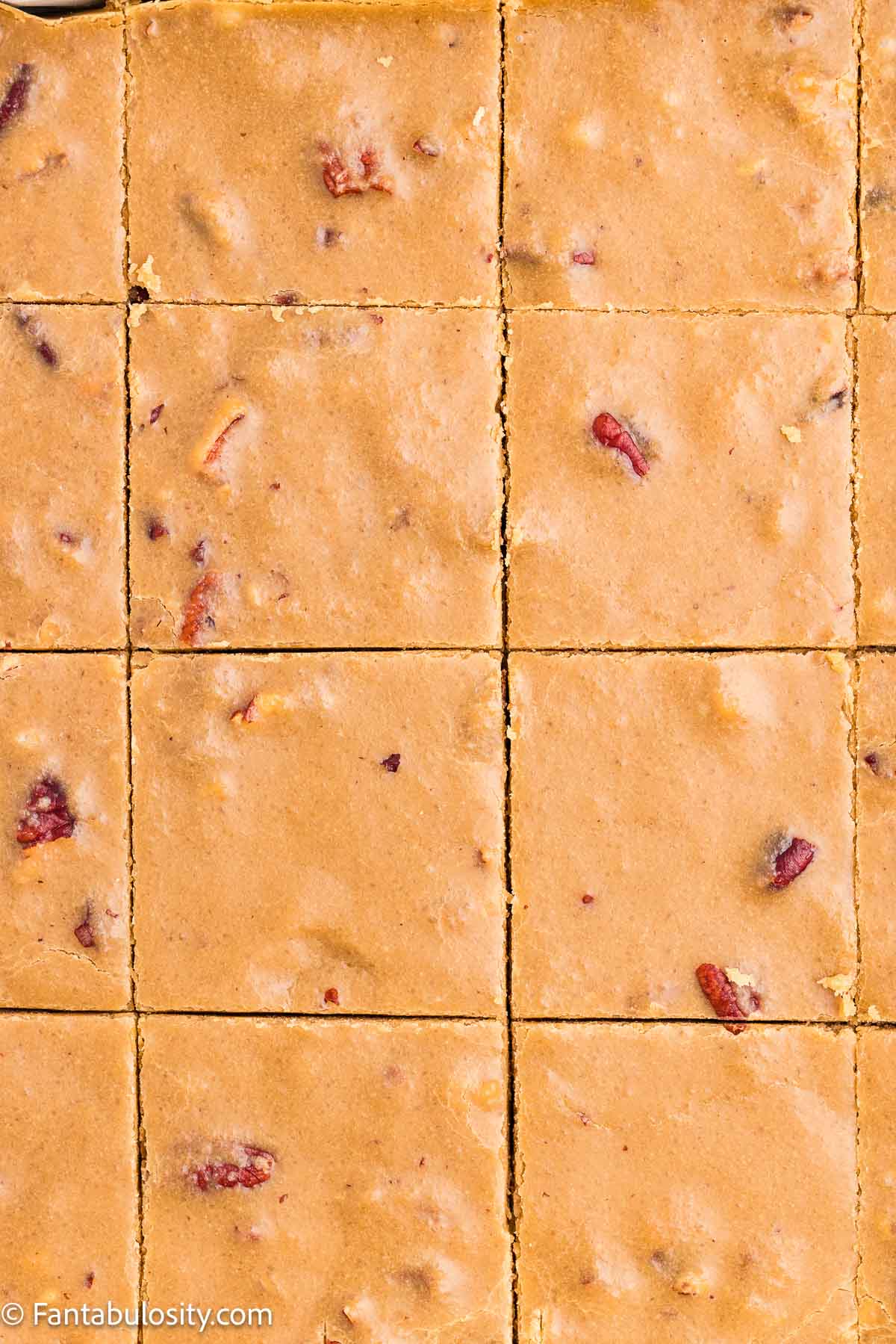 Penuche fudge cut into squares in a parchment-lined pan.